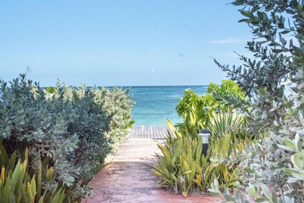Appartement Pasha - Ocean View à Sainte-Anne  Extérieur photo