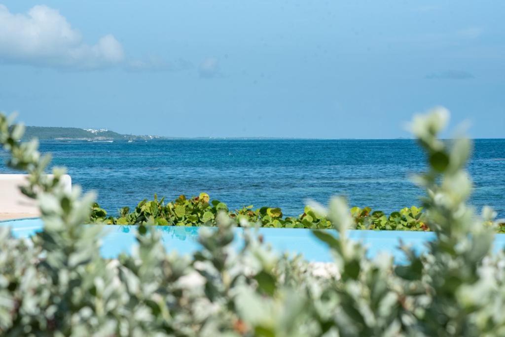 Appartement Pasha - Ocean View à Sainte-Anne  Extérieur photo